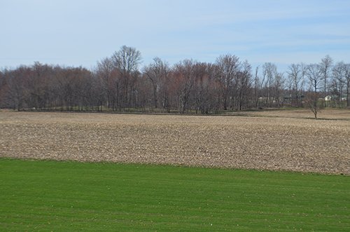 Property photo 69 - REAL ESTATE & PERSONAL PROPERTY AUCTION, 140 Acres offered in 8 Tracts or Combinations in Steuben County